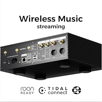 Amazon.com: EVERSOLO DMP-A6 Music Streamers, Network Player